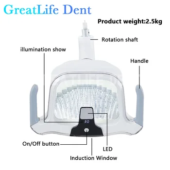Новое стоматологическое оборудование GreatLife Dent мощностью 10 Вт, Индукционная лампа без теней, Светодиодная лампа для стоматологической работы, Светодиодная лампа для стоматологической работы