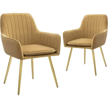 Мобильный набор из 2 стульев для столовой, мебель для современной гостиной, акцентные кресла для гостей, Клубный металлический стул для дома