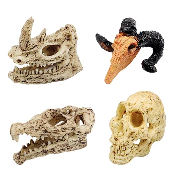 Кукольный домик, Праздничный череп животного, Модель ужасного декора стен, Настоящий образец черепа животного, Предметы коллекционирования, Необычный Хэллоуин