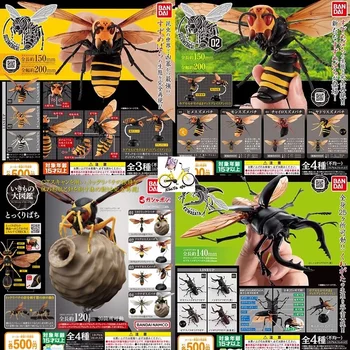 Японский Бандай Подлинная Масштабная модель Гача Nsect Биологическая карта Шмель Пчела Жук Насекомое Когнитивная модель Игрушки-фигурки