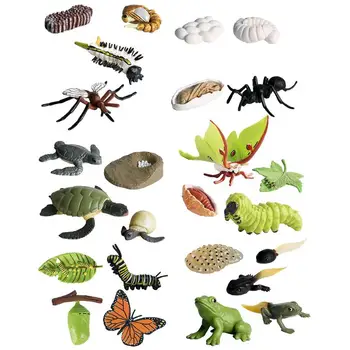 Фигурки насекомых с жизненным циклом, Набор моделей цикла роста животных, фигурки насекомых, набор игрушек для улучшения когнитивных способностей детей