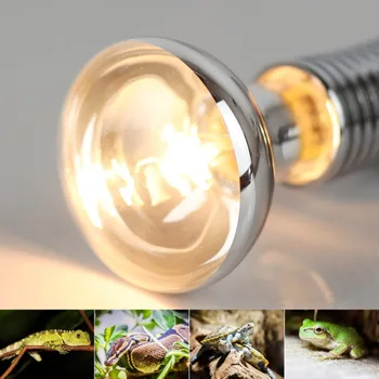 Лампа для рептилий мощностью 75 Вт с полным спектром действия UVA + UVB, греющая черепаху ультрафиолетовыми лампочками, Нагревательная Лампа для амфибий, Ящериц, Регулятор температуры